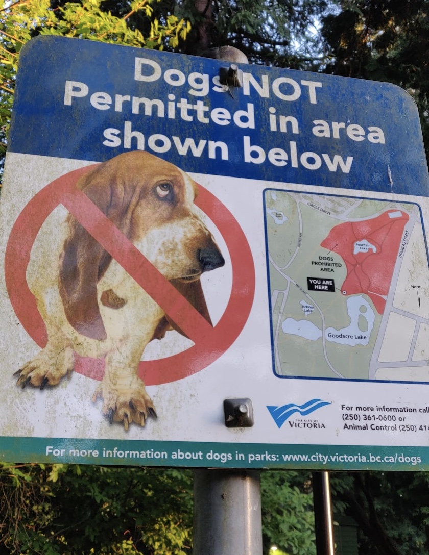 No dogs allowed